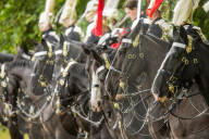 Horse Guards