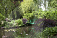 Claude Monet Bridge over the lillies pond Giverny France