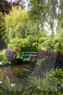 Claude Monet Garden the bridge over the lilies pond has been a huge inspiration for may of the Monet paintingzs. Giverny France