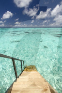 Ladder leading to the ocean, Maldives