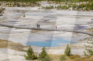 Norris Geyser Basin, Yellowstone National Park, Wyoming, USA.