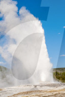Old Faithful Geyser Yellowstone National Park, Wyoming, USA.