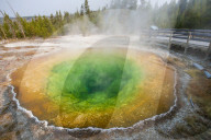 Morning Glory Pool in  Upper Geyser Basin Yellowstone National Park, Wyoming, USA.
