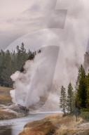 Riverside Geyser, Upper Geyser Basin Yellowstone National Park, Wyoming, USA.