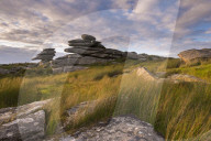 Granite tor on Stowes Hill, Bodmin Moor, Cornwall. Summer (July) 2015.