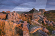 Dramatic rugged scenery on West Mill Tor, Dartmoor National Park, Devon, England. Summer (August) 2015.