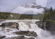 Athabasca Falls in the Canadian Rockies, Jasper National Park, Alberta, Canada. Autumn (September) 2015.