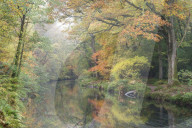 Mist and autumnal colours beside the River Teign near Fingle Bridge, Dartmoor, Devon, England. Autumn (October) 2015.
