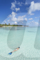 Woman snorkelling at Olhuveli Beach and Spa Resort, South Male Atoll, Kaafu Atoll, Maldives (PR + MR)