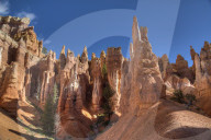 Hoodoos, on the Queens Garden Trail, Bryce Canyon National Park, Utah, United States of America, North America