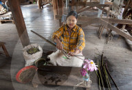 Woman pulling lotus strands from lotus stems, to be spun into thread, Ko Than hlaing Weaving,  Inpawkhan, Inle Lake, Shan state.