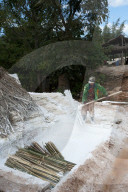 Man dipping bunches of bamboo into limewash to assist in oftening them for the papermaking process, Hsipaw, Shan state, Myanmar.