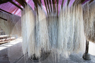 Freshly made rice noodles hanging over bamboo poles to dry, ready for sale, Hsipaw, Shan state.