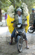 Man carrying huge load of fresh chrysanthemums from flower market on the road to Mandalay.
