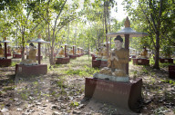 Maha Bodhi Ta Htaung, 1000 great Bo trees planted, each with a Buddha statue next to it, Monywa township, Sagaing Division.