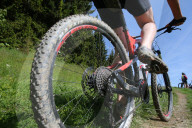 Dre Dans le l'Darbon : mountain bike race in the french Alps.