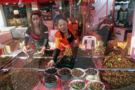 Food market. Display of fried insects.