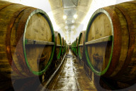 Beer maturing oak lager casks in the historic Cellars of the Pilsner Urquell brewery, Pilsen, Czech Republic