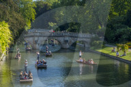 Punting on The Backs, River Cam, Cambridge, Cambridgeshire, England, United Kingdom, Europe