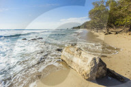 Driftwood on this beautiful surf beach near Mal Pais, far south of Nicoya Peninsula; Playa Santa Teresa, Puntarenas, Costa Rica
