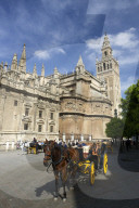 Horse-drawn carriage, Seville Cathedral, Catedral Sevilla, Andalucia, Spain, Europe