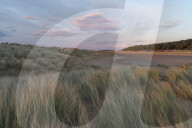 The dunes, beach and pinewoods at Holkham Bay, Norfolk, England, United Kingdom, Europe