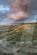 A view from the dunes of Holkham Bay, Norfolk, England, United Kingdom, Europe