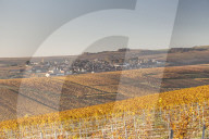 Autumn in the vineyards of Chablis, Burgundy, France, Europe
