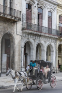 Horse-drawn carts known locally as coches for hire in Havana, Cuba