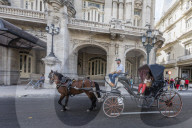 Horse-drawn carts known locally as coches for hire in Havana, Cuba