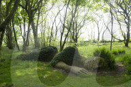 The Mud Maid plant and rock sculpture at the Lost Gardens of Heligan, Cornwall, England.