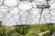Inside the tropical biome at the popular visitor attraction the Eden Project, Fohey, Cornwall, England.