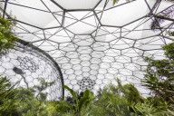 Inside the tropical biome at the popular visitor attraction the Eden Project, Fohey, Cornwall, England.