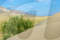 Singing Dunes, Altyn-Emel National Park, Almaty region, Kazakhstan, Central Asia, Asia