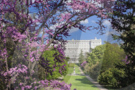 Campo del Moro Park, Royal Palace, Palacio Real, Madrid, Spain