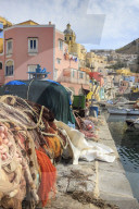 Marina Corricella, pretty fishing village, colourful fishermen's houses, boats and nets, Procida Island, Bay of Naples, Italy