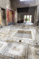 Mosaics, Atrium, House of the Paquius Proculus (House of Cuspius Pansa), Pompeii, UNESCO World Heritage Site, Campania, Italy