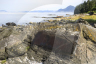 Petroglyphs with mist clearing from beautiful Petroglyph Beach, State Historic Park, Wrangell, Inside Passage, Alaska, USA