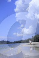 Asia, South East Asia, Cambodia, Sihanoukville, beach in Ream National Park (MR)