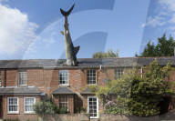 Headington, The Headington Shark - a rooftop sculpture located on New High Street by John Buckley