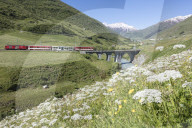 Typical red Swiss train on Hospental Viadukt surrounded by creek and blooming flowers, Andermatt, Canton of Uri, Switzerland, Europe