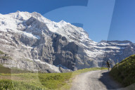 Hiker on the path between green meadows and snowy peaks, Wengernalp, Wengen, Bernese Oberland, Canton of Bern, Switzerland, Europe