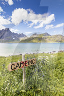 Green meadows and flowers frame the turquoise sea surrounded by peaks, Strandveien, Lofoten Islands, Norway, Scandinavia, Europe