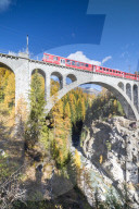 The red train on viaduct surrounded by colorful woods Cinuos Chel Canton of GraubÃ¼nden Engadine Switzerland Europe