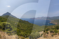 Top view of turquoise sea and bay framed by green vegetation on the promontory Porto Southern Corsica France Europe