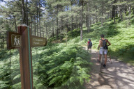 Hikers proceed on the path in the green woods of Col de Bavella (Pass of Bavella) Solenzara Southern Corsica France Europe
