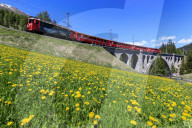 Bernina Express train on Cinuos-chel viadukt in spring, St.Moritz, canton of GraubÃ¼nden, Maloja Switzerland, Europe