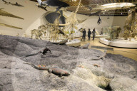 People in the interior rooms of the Zoological Museum, University of Copenhagen, Denmark