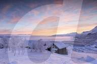 Pink sunrise on the snowy landscape, Bjorkliden, Abisko, Kiruna Municipality, Norrbotten County, Lapland, Sweden