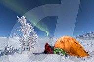 Hiker outside a tent looks to the Aurora Borealis, Abisko, Kiruna Municipality, Norrbotten County, Lapland, Sweden
